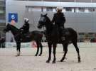 CAVALIADA 2013 w Poznaniu