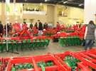 Fotorelacja z XVII Międzynarodowych Targów Techniki Rolniczej AGROTECH i XI Targów Przemysłu Drzewnego i Gospodarki Zasobami Leśnymi LAS-EXPO dzień 1