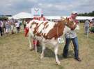 Wystawa Bydła: Konkurs Młodego Hodowcy - Opolagra 2011