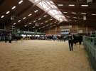 Wystawa  Blickpunkt Rind 2013 w miejscowości Paaren/Glien (Niemcy)