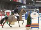 CAVALIADA 2013 w Poznaniu