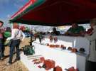 AGRO SHOW 2013 - sobota i niedziela