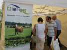 Intergen na targach AGRO-TECH w Minikowie 2014