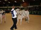Wystawa  Blickpunkt Rind 2013 w miejscowości Paaren/Glien (Niemcy)