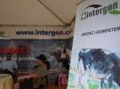 Intergen na OPOLAGRZE 2015