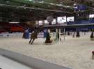 CAVALIADA 2013 w Poznaniu