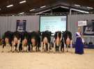 Wystawa  Blickpunkt Rind 2013 w miejscowości Paaren/Glien (Niemcy)