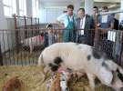 Spacer Ministra Sawickiego po terenie targów Polagra Food i KWZH