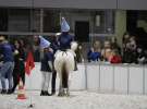 CAVALIADA 2013 w Poznaniu