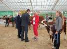 Czempioni XVII Regionalnej Wystawy Zwierząt Hodowlanych Sielinko 2011