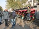 Gospodarz.pl w Chinach