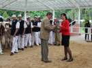 Prezentacja Championów na VII Ogólnopolskiej Wystawie Bydła Hodowlanego w Sielinku 2012