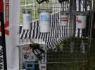 Axmann na Polskie Zboża Zielone Agro Show 2012