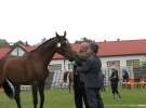 Wystawa Koni Sielinko 2011