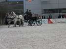 CAVALIADA 2013 w Poznaniu