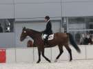 CAVALIADA 2013 w Poznaniu