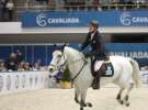 CAVALIADA 2013 w Poznaniu