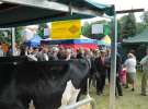  XX Targi Rolnicze Lubniewice
