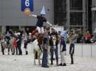 CAVALIADA 2013 w Poznaniu