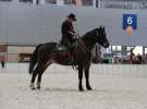 CAVALIADA 2013 w Poznaniu