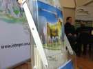 Intergen na KWZH 2015 w Poznaniu