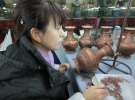 Gospodarz.pl w Chinach
