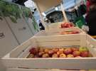 Targi AGROTECH i LAS-EXPO Kielce cz.2