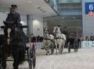CAVALIADA 2013 w Poznaniu
