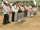 Zielone AGRO SHOW – POLSKIE ZBOŻA 2014 w Sielinku - niedziela