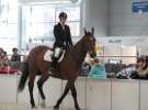 CAVALIADA 2013 w Poznaniu