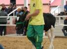 Mali Hodowcy VII Ogólnopolska Wystawa Bydła Hodowlanego w Sielinku 2012