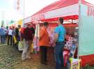 Dolfos na Agro Show w Bednarach