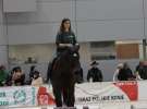 CAVALIADA 2013 w Poznaniu