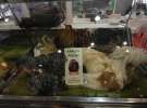 POLAGRA FOOD 2013 w Poznaniu
