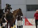 CAVALIADA 2013 w Poznaniu