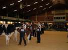 Wystawa  Blickpunkt Rind 2013 w miejscowości Paaren/Glien (Niemcy)