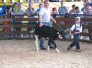 Młody Hodowca - Szepietowo 2012 XIX Regionalna Wystawa Zwierząt Hodowlanych