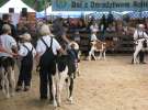 Młody Hodowca - Szepietowo 2012 XIX Regionalna Wystawa Zwierząt Hodowlanych