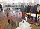Spacer Ministra Sawickiego po terenie targów Polagra Food i KWZH