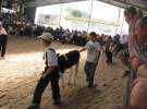 Młody Hodowca - Szepietowo 2012 XIX Regionalna Wystawa Zwierząt Hodowlanych