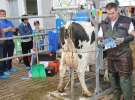 Dni Otwarte w GR Hendripol sp. z o.o.