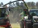 Zielone AGRO SHOW – POLSKIE ZBOŻA 2014 w Sielinku - sobota