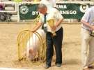 Zielone AGRO SHOW – POLSKIE ZBOŻA 2014 w Sielinku - niedziela