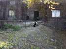 Gospodarz.pl w Chinach
