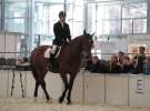 CAVALIADA 2013 w Poznaniu