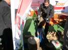 Agro Show 2012 Bednary foto-katalog firm cz.1