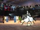 CAVALIADA 2013 w Poznaniu