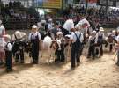 Młody Hodowca - Szepietowo 2012 XIX Regionalna Wystawa Zwierząt Hodowlanych