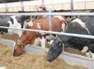 Dni Otwarte w GR Hendripol sp. z o.o.