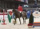 CAVALIADA 2013 w Poznaniu